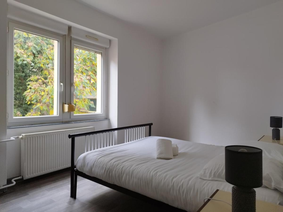 Le Thannois - Appartement 2 Chambres, Salon, Cuisine Equipee, Parking Et Wifi Gratuit Mulhouse Eksteriør bilde