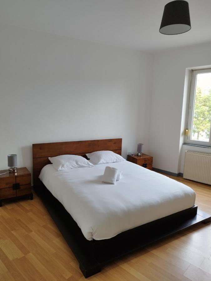 Le Thannois - Appartement 2 Chambres, Salon, Cuisine Equipee, Parking Et Wifi Gratuit Mulhouse Eksteriør bilde