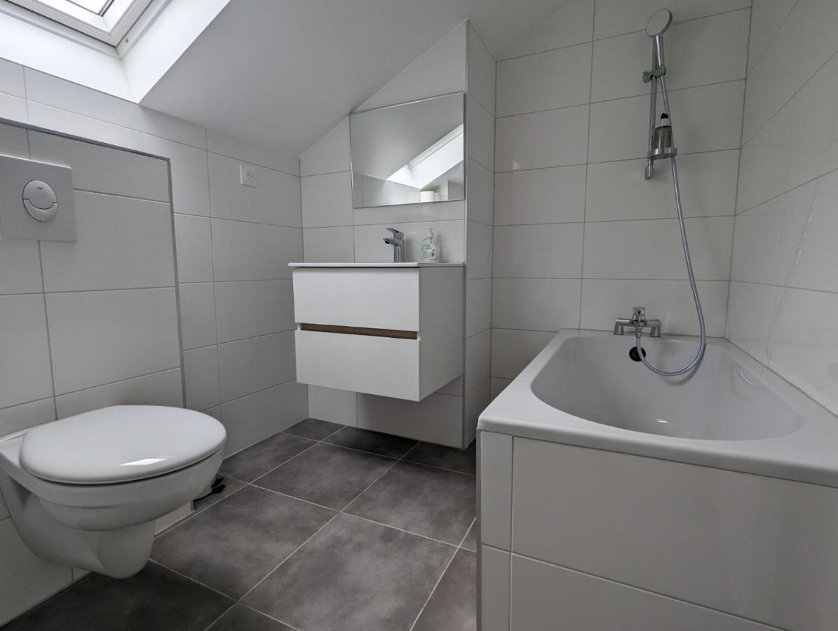 Le Thannois - Appartement 2 Chambres, Salon, Cuisine Equipee, Parking Et Wifi Gratuit Mulhouse Eksteriør bilde