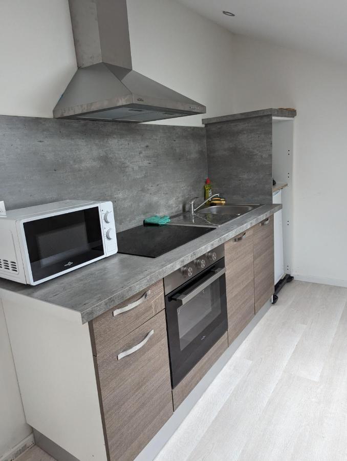 Le Thannois - Appartement 2 Chambres, Salon, Cuisine Equipee, Parking Et Wifi Gratuit Mulhouse Eksteriør bilde