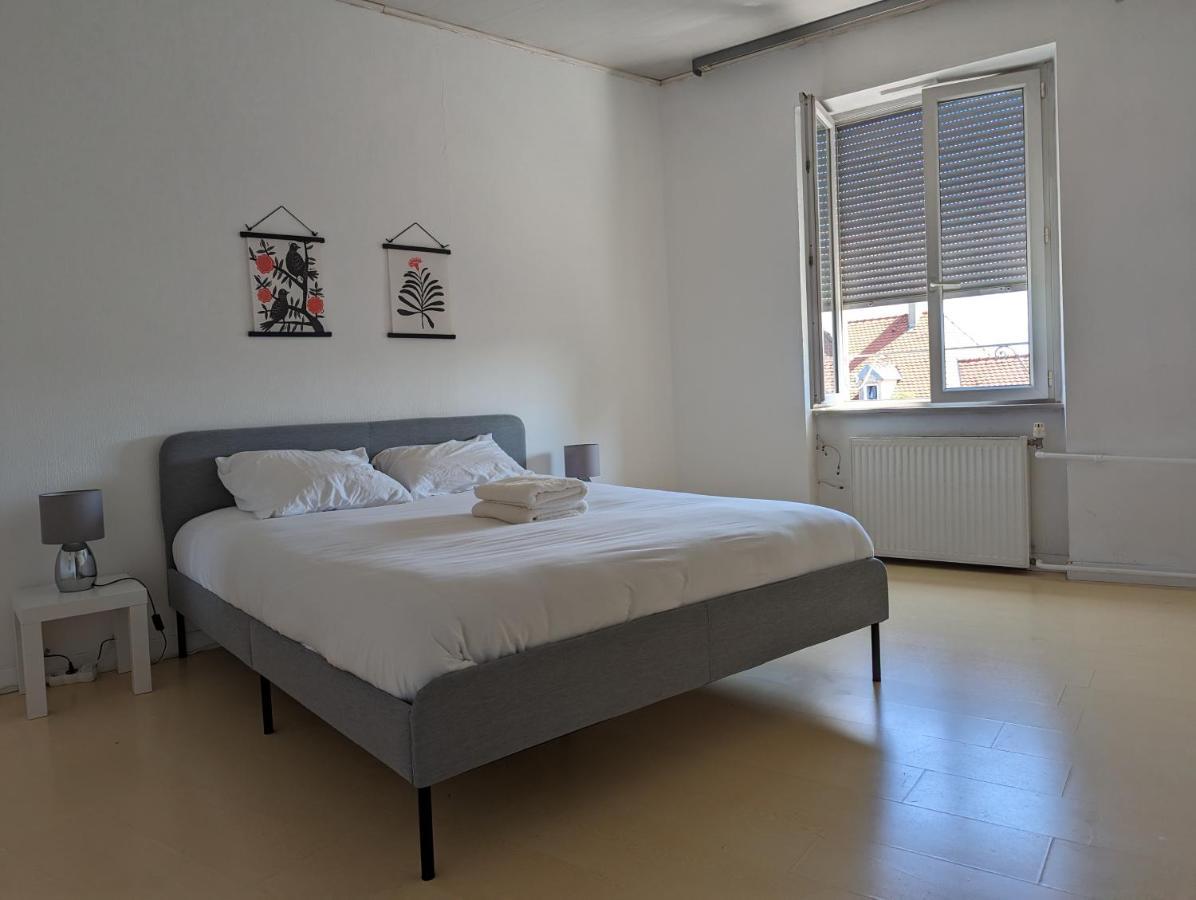 Le Thannois - Appartement 2 Chambres, Salon, Cuisine Equipee, Parking Et Wifi Gratuit Mulhouse Eksteriør bilde